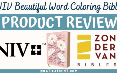 NIV Beautiful Word Coloring Bible Review